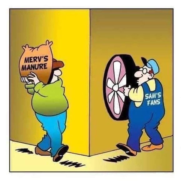 Meet your Posher, Mark - Picture 9 of 16